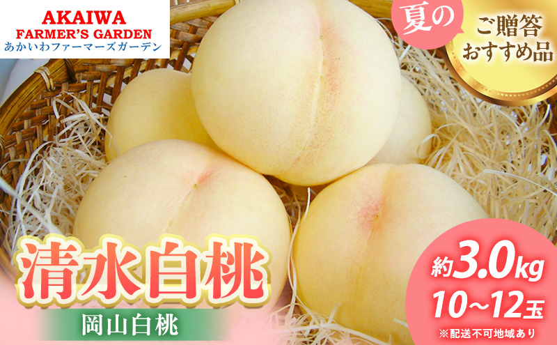 桃 2026年 先行予約 清水 白桃 約3.0kg 10～12玉 もも 岡山県 赤磐市産 フルーツ 果物 あかいわファーマーズガーデン 果物類