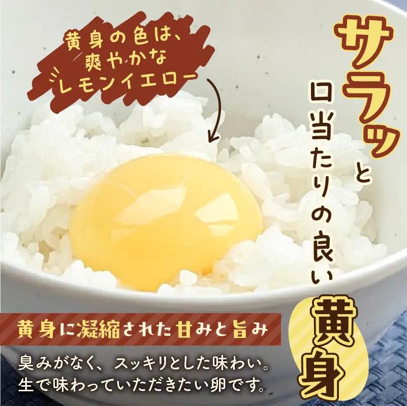 【 全3回 定期便 】 訳あり たまご （ たまごトレー ） T074-T02 卵