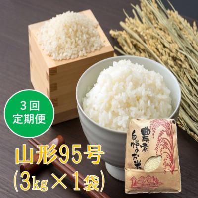 ふるさと納税 小国町 【発送月固定定期便】山形95号 精米 3kg　佐藤全3回
