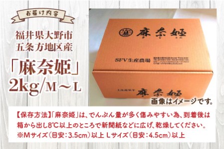 【先行予約】【年内お届け】上庄里芋「麻奈姫」2kg「農家直送」【11月初旬～順次発送】