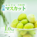 【ふるさと納税】【訳あり】冷凍シャインマスカット約1kg（約200g×5パック） 冷凍食品 真空パック 国産 皮ごと食べられる種なしぶどう ぶどう 果物 フルーツ ギフト 簡単 便利グレープ おすすめ 人気 デザート おやつ【TV等で話題の凍眠（急速冷凍）1万円】