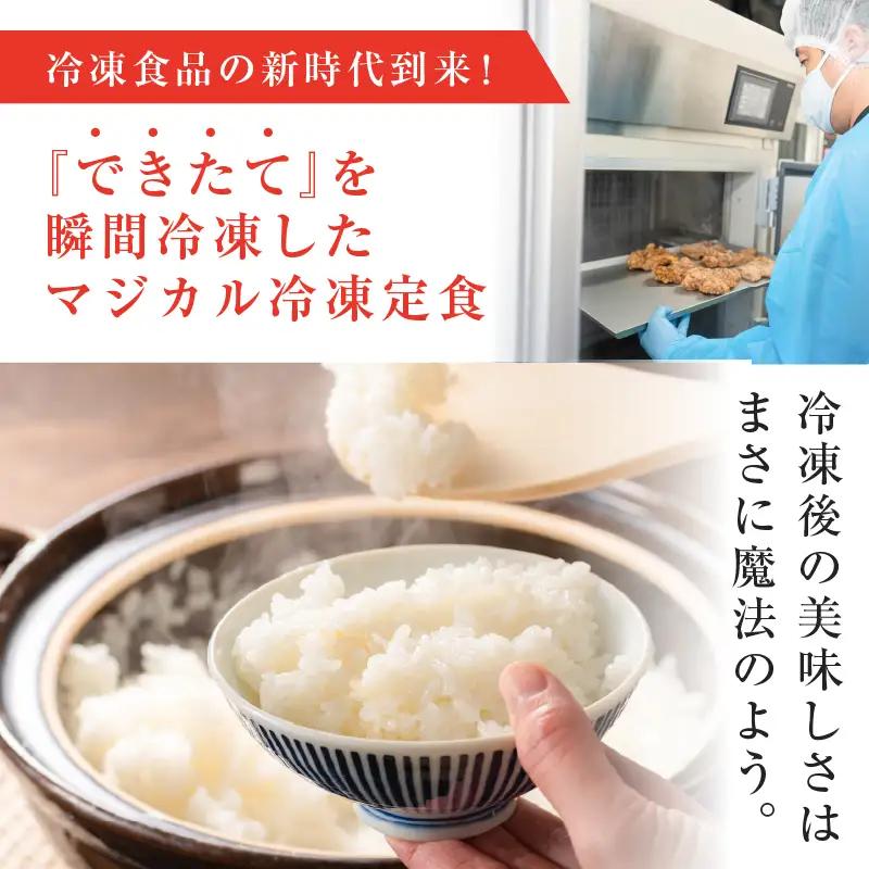 【 全6回定期便 】マジカル 冷凍 牛 ハンバーグ 定食 K258-T03_b 惣菜 総菜
