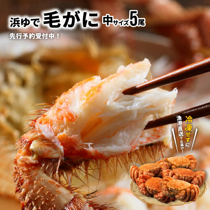 【ふるさと納税】【先行受付開始！】漁協の浜ゆで毛がに 中サイズ5尾セット※日付指定対応不可※[02-628]※離島・沖縄県発送不可※ 北海道 浦河 ふるさと納税 北海道産 北海道日高産 毛がに 浜ゆで 漁協直送 中サイズ 冷蔵発送 送料無料