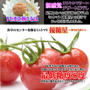 南高梅 とまと梅 tomato-ume １００ｇ×4個 / 梅干し 梅干 梅 トマト梅 【ypl004A】