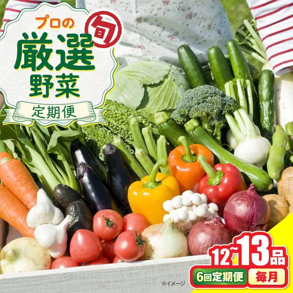 【6回定期便】野菜のプロが選ぶ 旬の野菜セット 12-13品目 野菜定期便 / 野菜 やさい セット 新鮮 / 南島原市 / 愛2農園[SGG003]