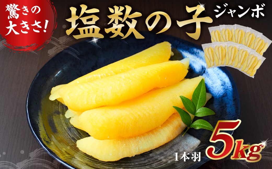 
            【12月21日入金完了分まで年内発送】 【配送月が選べる】塩数の子ジャンボ　1本羽　5kg　小分け（500g×10袋） mi0012-0072-OYA 【数の子 ニシン ジャンボサイズ 海産物 魚卵 レシピ同封 お正月 おせち料理】
          