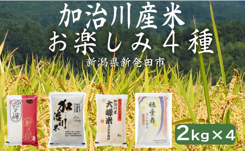 
                  【新潟米食べ比べ】 お楽しみ 4種 コシヒカリ 新之助 各2kg 8kg 令和7年産 新潟県 新発田市 加治川産  新発田産 新潟 ふるさと納税 精米 米 お米  こしひかり 白米 米 お米 こめ コメ ライス ご飯 ごはん 美味しい 贈り物 国産 新潟県 新発田市 お取り寄せ 令和7年産米 産地直送 GAP認証 JGAP アグリ加治川 agk011
                