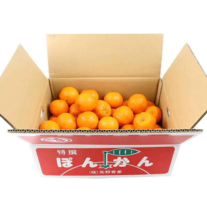 準 贈答用 ポンカン 5kg 矢野青果 ポンカン B012-171007