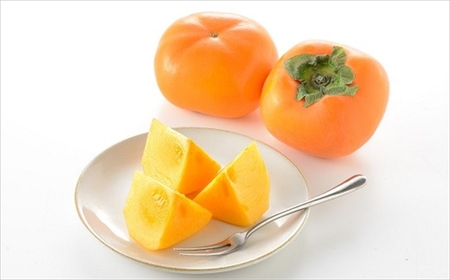 【先行予約・令和6年秋発送】とろける甘みの新道柿 5kg [B119]