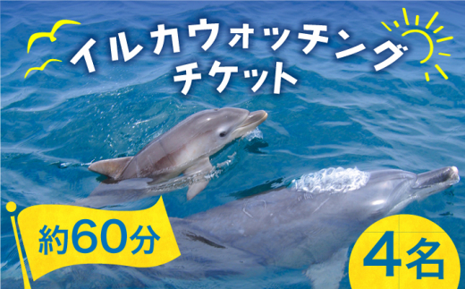 
南島原 イルカウォッチング 4人用チケット / イルカ 観光 南島原市 / 南島原イルカウォッチング [SAE002]
