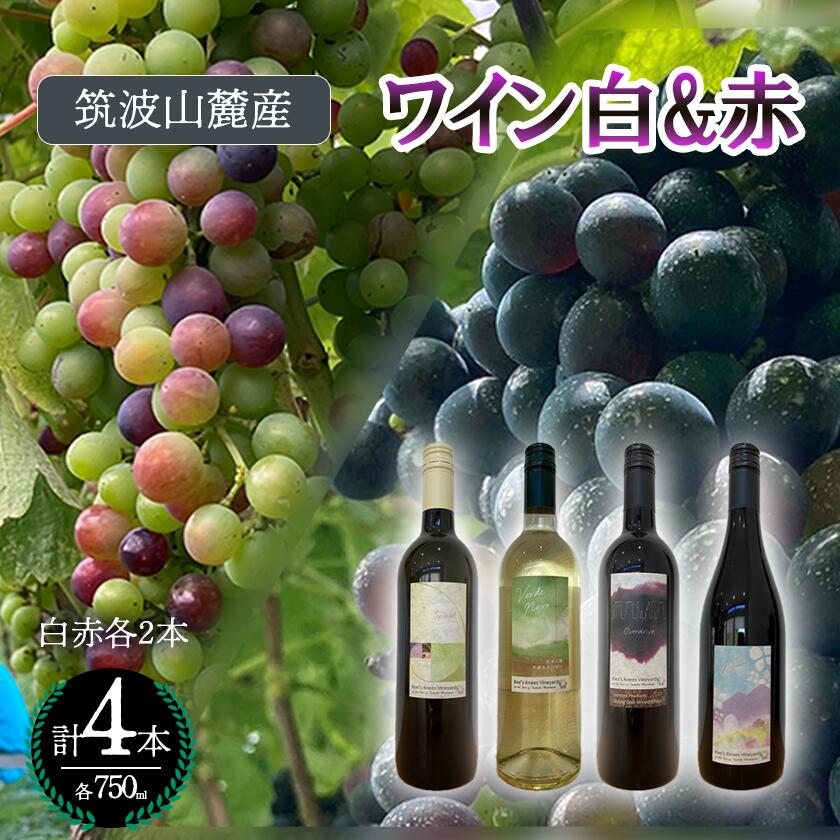 【ふるさと納税】つくば市 筑波山麓産ワイン4本セット ビーズニーズヴィンヤーズ／Bee's Knees Vineyards | 茨城県 つくば市ワイン お酒 酒 果実酒 ブドウ 白ワイン 赤ワイン 日本ワイン 国産ワイン ワイン専用ブドウ品種 国産 つくば市産 茨城県産