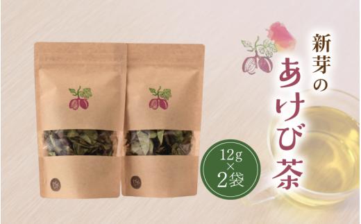 新芽のあけび茶 12g×2 / アケビ 岡山県 真庭市 しげや 【shigeya008-01】