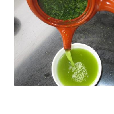 ふるさと納税 島田市 高級煎茶　あさみどり　100g×5パック |  | 03