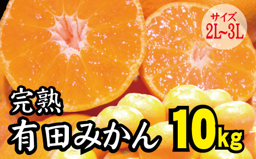 
【2022年秋以降発送予約分】＼光センサー選別／ 【農家直送】完熟有田みかん 2L～3Lサイズ　約10kg 有機質肥料100%　 サイズ混合　※2022年11月中旬より順次発送予定（お届け日指定不可）
