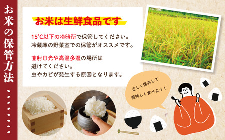 24-149．【令和6年産新米・早期受付】四万十のこしひかり10kg（5kg×2袋）【2024年9月より順次配送】