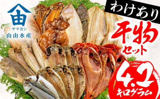 【2025年1月発送】 4.2kg 山由水産 訳あり 干物 詰め合わせ セット 配送不可地域あり