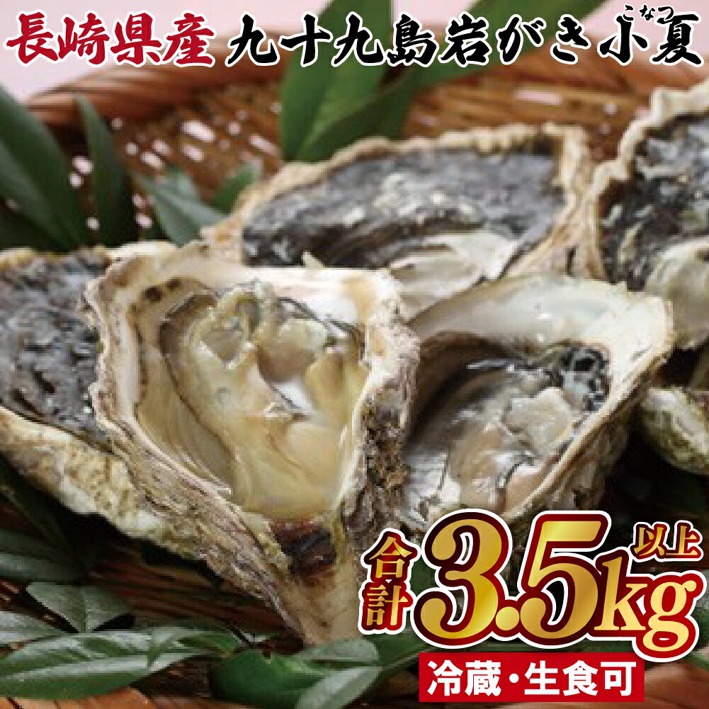 【ふるさと納税】九十九島岩がき小夏(こなつ)