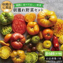 【ふるさと納税】【全6回定期便(月1回)】☆畑直送☆【福岡県糸島産】朝獲れ＊野菜セット(10品前後) オーガニックナガミツファーム [AGE009] 65000円