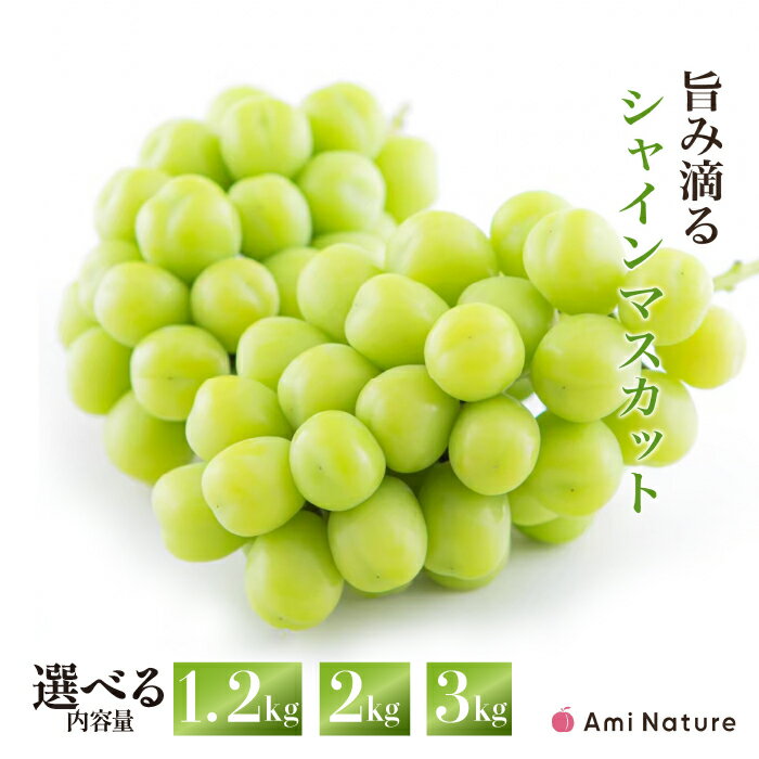 【ふるさと納税】【2026年発送★先行予約】さわやかに滴る シャインマスカット 2kg~3kg 数量限定 無くなり次第終了シャインマスカット 笛吹市 国産 人気 期間限定 ぶどう ブドウ 葡萄 旬 果物 フルーツ 山梨県 送料無料 065-023