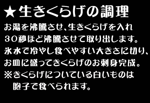 ドームハウスで育てたきくらげ 100g×8袋(合計800g) プリプリ食感 小分け 生きくらげ 木耳 きのこ 料理 調理