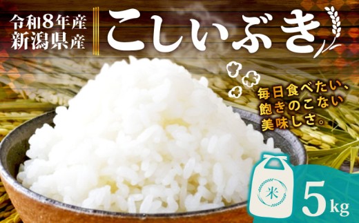 【令和8年産】 新潟県産 こしいぶき 5kg 単品 新発田産 新潟 ふるさと納税 米 お米 白米 米 お米 こめ コメ ライス ご飯 ごはん 美味しい 贈り物 国産 新潟県 新発田市 お取り寄せ 産地直送 アグリ中俵 nakatawara011_202610