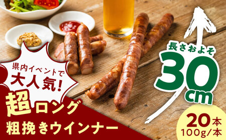 【長さ20-30cm超ロング！超粗挽きウインナー】GASBO(ガスボー)計20本(100g×10本入り×2P) / 佐賀県 / 山代ガス株式会社 旬菜舎さと山[41AABM041]