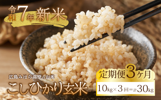 【先行受付】■3か月定期便■ 令和7年新米 コシヒカリ 玄米10kg 2025年10月上旬以降～発送 お米 米 ごはん ご飯 広島県 三原市 220011