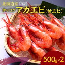 【ふるさと納税】冷凍ホッコクアカエビ（甘エビ）500g×2 エビ えび 海老 甘海老 あかえび 殻付き おさしみ 刺身 生食 海鮮丼 バターソテー 味噌汁 塩辛 唐揚げ おつまみ 冷凍 国産 海鮮 魚介 魚介類 ギフト 贈り物 お歳暮 母の日 父の日 お取り寄せ 北海道 余市町 送料無料