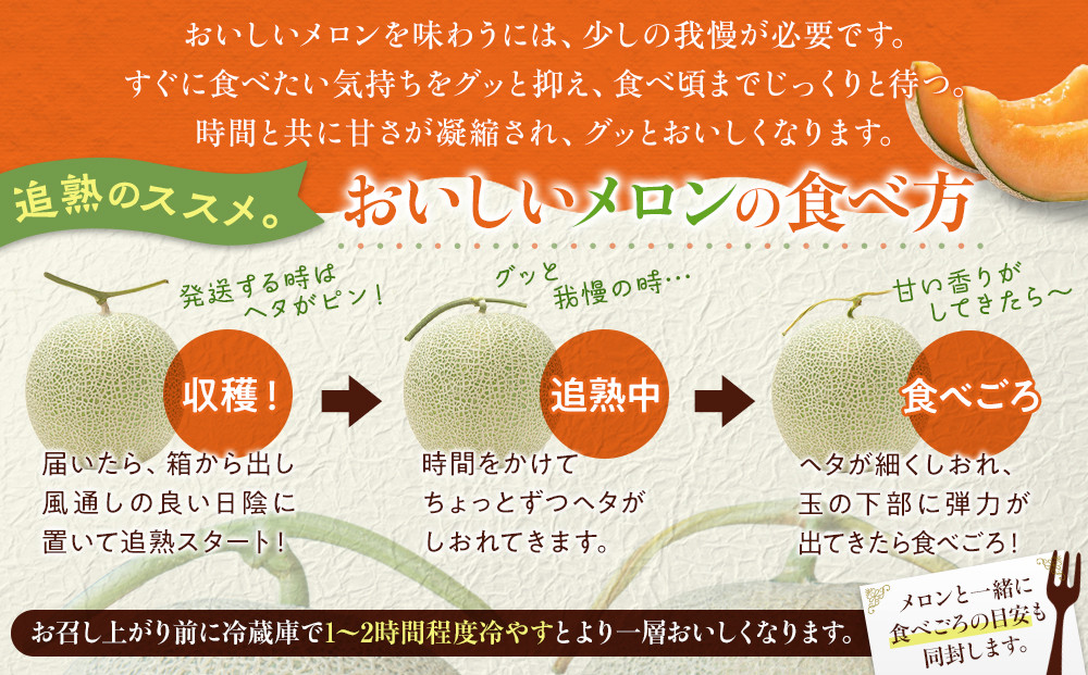 【先行予約】 北海道産赤肉メロン約1.3kg×1玉 (2025年7月中旬から発送予定)_05228