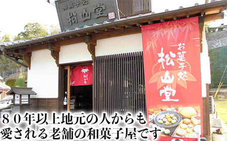 松山堂の葛アイス10本セット（いちご、みかん、抹茶、あずき、季節のフルーツ各2本）＜118-001_5＞