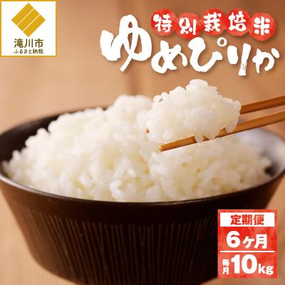 ふるさと納税 滝川市 《令和7年産》特別栽培米ゆめぴりか 10kg×6ヵ月定期便 特A 減農薬 白米 北海道滝川市
