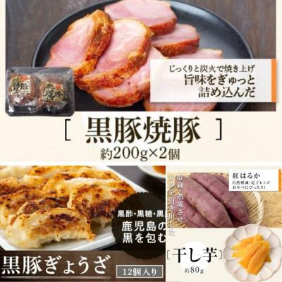 ふるさと納税 肝付町 ふるさと黒豚セットA+黒豚焼豚2個　B02097 |  | 02