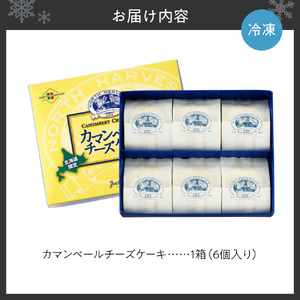 カマンベールチーズケーキ（6個入） ｜ スイーツ 洋菓子 チーズケーキ 北海道 札幌市 