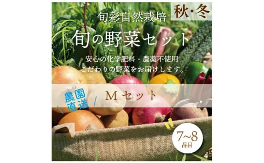 都内マルシェで人気のお野菜！ 秋冬 旬の野菜セットMサイズ(7～8品)  野菜 セット 詰め合わせ 詰合せ 食品 F21R-212