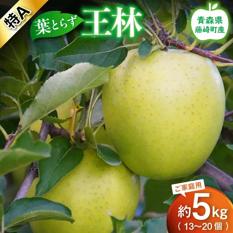 【先行予約】王林 特A 家庭用 約5kg（13～20個） りんご リンゴ 林檎 F41-0025