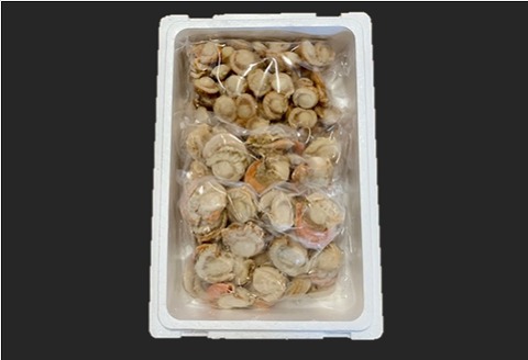 ＼漁業者応援品／【北海道根室産】ボイルホタテ800g×2P、ボイルベビーホタテ1kg×1P B-01060