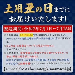 【C57004】《先行予約受付中！土用の丑の日発送》うなぎ蒲焼(有頭)(5尾・計925g以上、タレ、山椒付) 鹿児島 国産 大隅産 鰻 うなぎ ウナギ 蒲焼き うな丼 うな重 ひつまぶし 丑の日発送 