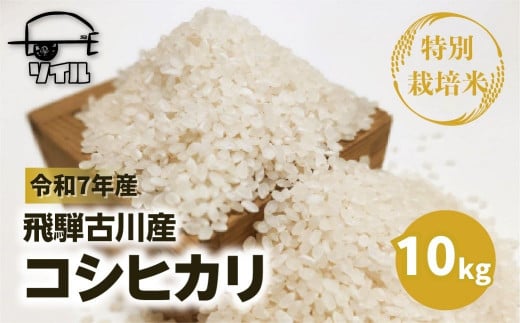 【先行予約】 令和７年産 新米 飛騨古川産　特別栽培米　こしひかり　10kg 特A ソイル