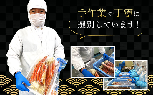 【訳あり】 冷凍ボイル本ズワイ蟹　4肩（1kg） TMN004 / ずわいがに ずわいガニ ズワイガニ ズワイ蟹 本ズワイ蟹 本ずわいがに 本ズワイガニ 本ズワイ蟹 蟹 かに カニ 冷凍ボイル本ズワイ