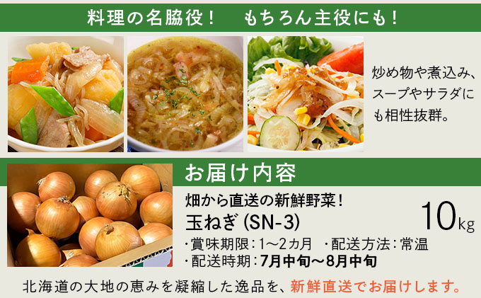 【先行予約】畑から直送の新鮮野菜！玉ねぎ（SN-3）10kg【a168-002】