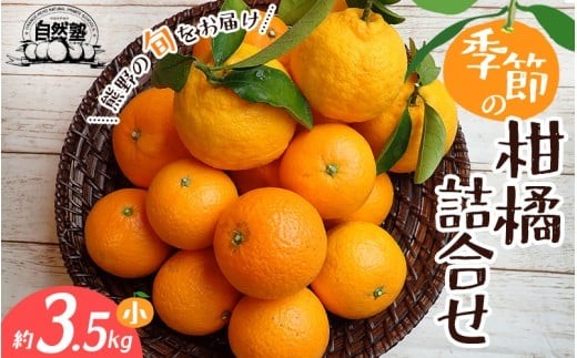 
                  みかん 自然塾 季節の柑橘詰合せ 約3.5㎏ みかん ミカン 温州みかん フルーツ 果物 くだもの 柑橘 不知火 せとか 果物セット フルーツセット 甘い 旬 人気 果汁 濃厚 ジューシー デザート 産地直送 農家直送 みかん 国産 お取り寄せ 新鮮 みかん おすすめ 三重県 熊野市【szjk0003】
                