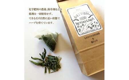 【6回定期便】ハーブ仁淀川産 自然栽培ハーブ レモングラス＆和ハッカブレンド ハーブティー ティーバッグタイプ 2個セット 7袋入り×2個 定期便 定期コース 全6回 ティーバッグ【ハーブ仁淀川】 [
