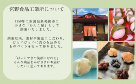 ようかん詰め合わせ 【 宮野食品 本練り 羊羹 和菓子 母の日 ギフト セット J90 】