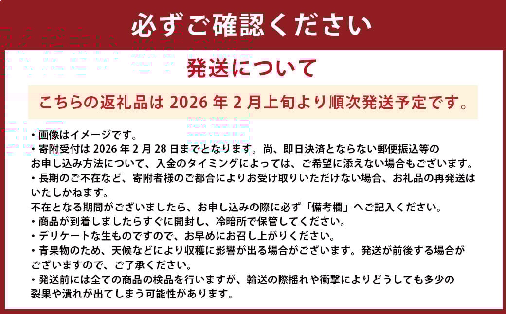 熊本県産 不知火おでこ 約5kg 
