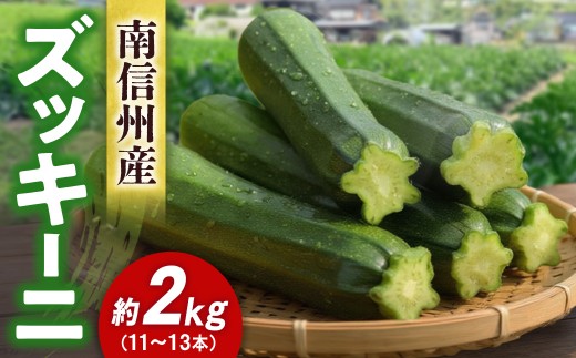ズッキーニ　約2kg（11～13本入り）2026年6月～8月発送　 野菜｜収穫｜新鮮｜料理｜南信州｜長野県｜信州｜ふるさと納税