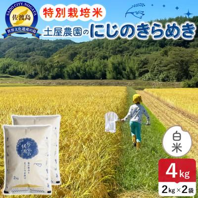 ふるさと納税 佐渡市 【新米】令和8年産 佐渡島産にじのきらめき 白米4kg 土屋農園 農家直送 特別栽培米