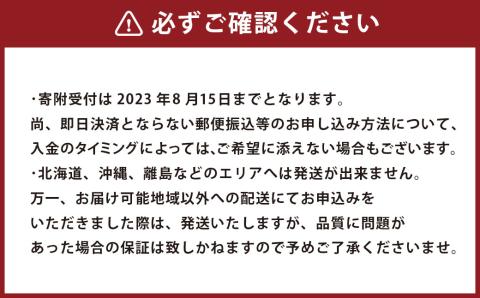 【2023年8月下旬発送開始】熊本県産 あきづき梨 約2kg 5～6玉入り 梨 なし ナシ フルーツ 果物