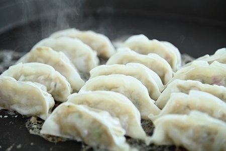 京丹波餃子 48個（16個入り×3ケース） 6人前 京丹波ぽーく ぎょうざ ギョウザ 塩ポン酢付き 京丹波ラディッシュ 京丹波産野菜 国産 豚肉 ポーク オリジナル ブランド ご当地グルメ お取り寄せ