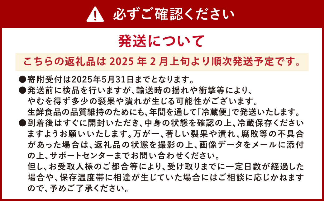 ソムリエ トマト 2.6kg とまと 野菜 やさい 熊本県産 国産 【2025年2月上旬発送開始】