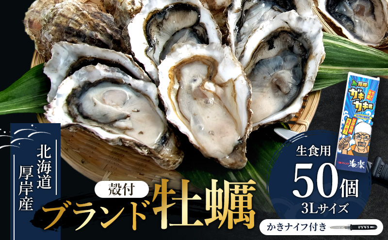 北の海のミルク！ 厚岸産 牡蠣 3Lサイズが50個！ 生食用 生牡蠣 貝付き牡蠣 貝 海鮮 魚介類 殻付き牡蠣 マルえもん メルマガ掲載商品3 